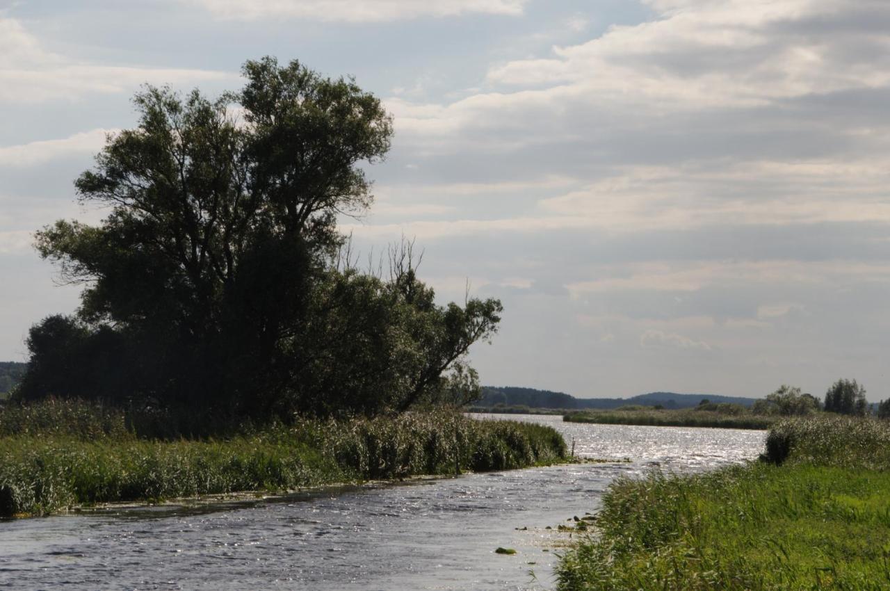 Finnhütten Waldesruh Lochow Exterior foto